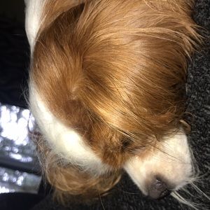 Meet your Posher, Edward